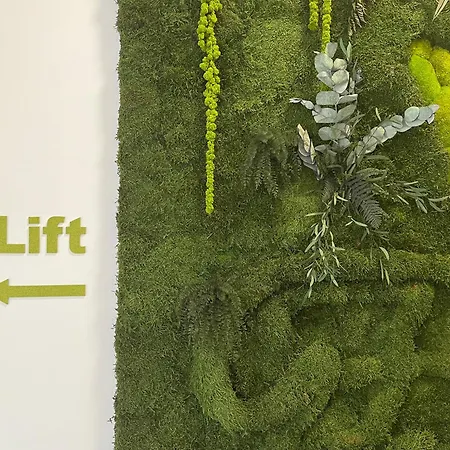 Gaestehaus Haffner Vendégház Zell am See