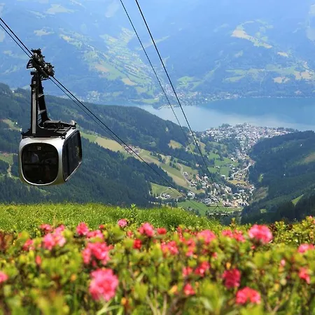 Gaestehaus Haffner 3* Zell am See