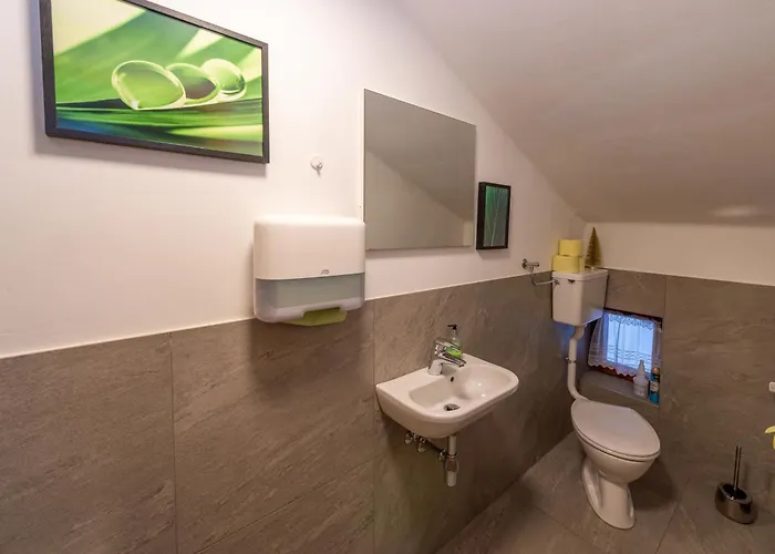 Gaestehaus Haffner 3* Zell am See