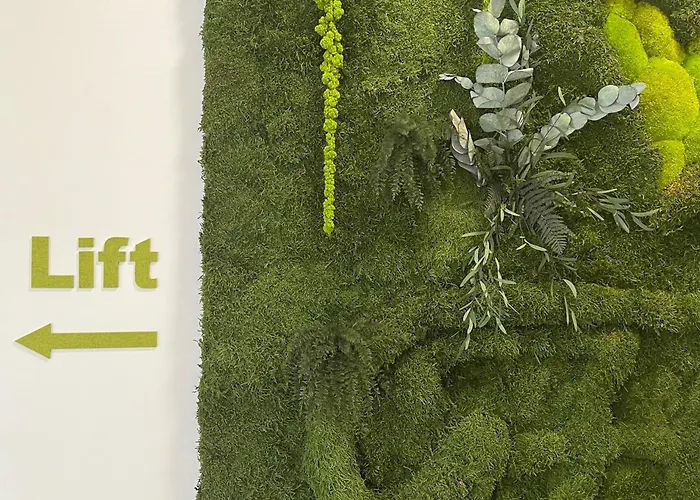 Gaestehaus Haffner 招待所 滨湖采尔